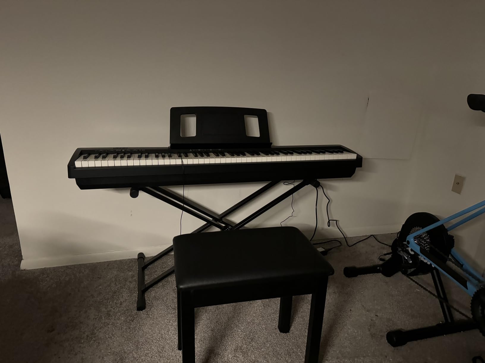 Roland FP-10 Digital Piano - Black Bundle with Adjustable Stand, Bench, Sustain Pedal, Instructional Book, Online Lessons, Instructional DVD, and Austin Bazaar Polishing Cloth customer photo 1