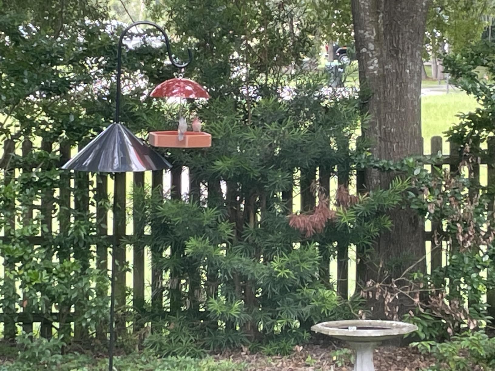 Kingsyard Heavy Duty Hanging Platform Bird Feeder Weatherproof, Recycled Plastic Tray with Metal Mesh Screen, Easy Clean Outdoor Feeder for Cardinals Bluebirds Wild Birds, Brown customer photo 1