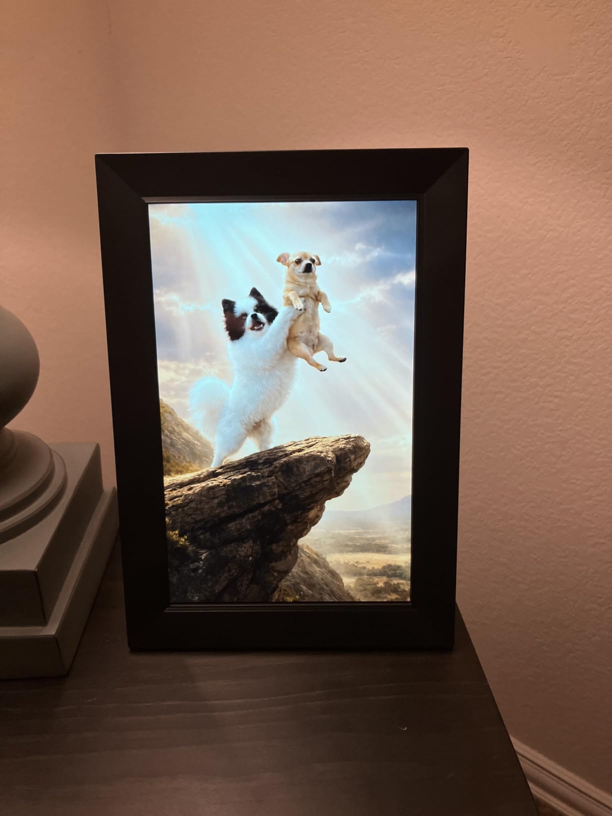 Frameo 10.1 Inch WiFi Digital Picture Frame, Smart Cloud Electronic Photo Frame with HD IPS Touch Screen Slideshow 32GB Memory Auto-Rotate Wall Mount, Share Photos/Videos from Phone by Frameo App customer photo 1