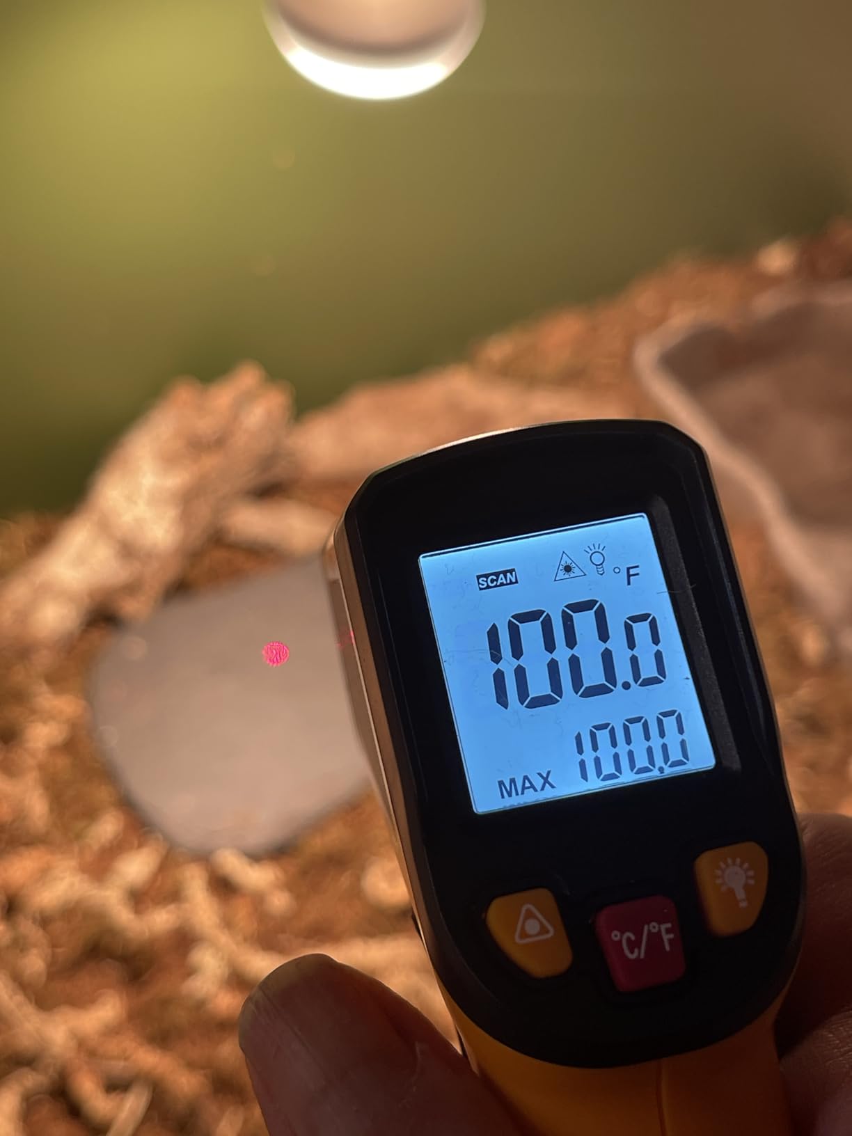 KNINE OUTDOORS Infrared Thermometer Laser Temperature Gun, -58℉ to 1112℉, Single Laser Targeting, Distance to Spot Ratio 12:1, for Cooking, Oven and Meat (Orange) customer photo 2