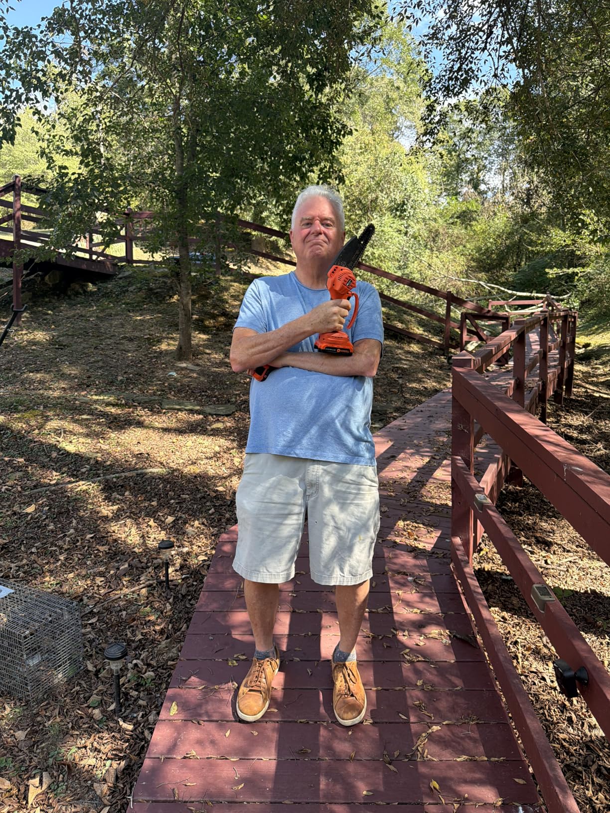 Electric Tree Saw for Pruning High Branches, 2-in-1 6