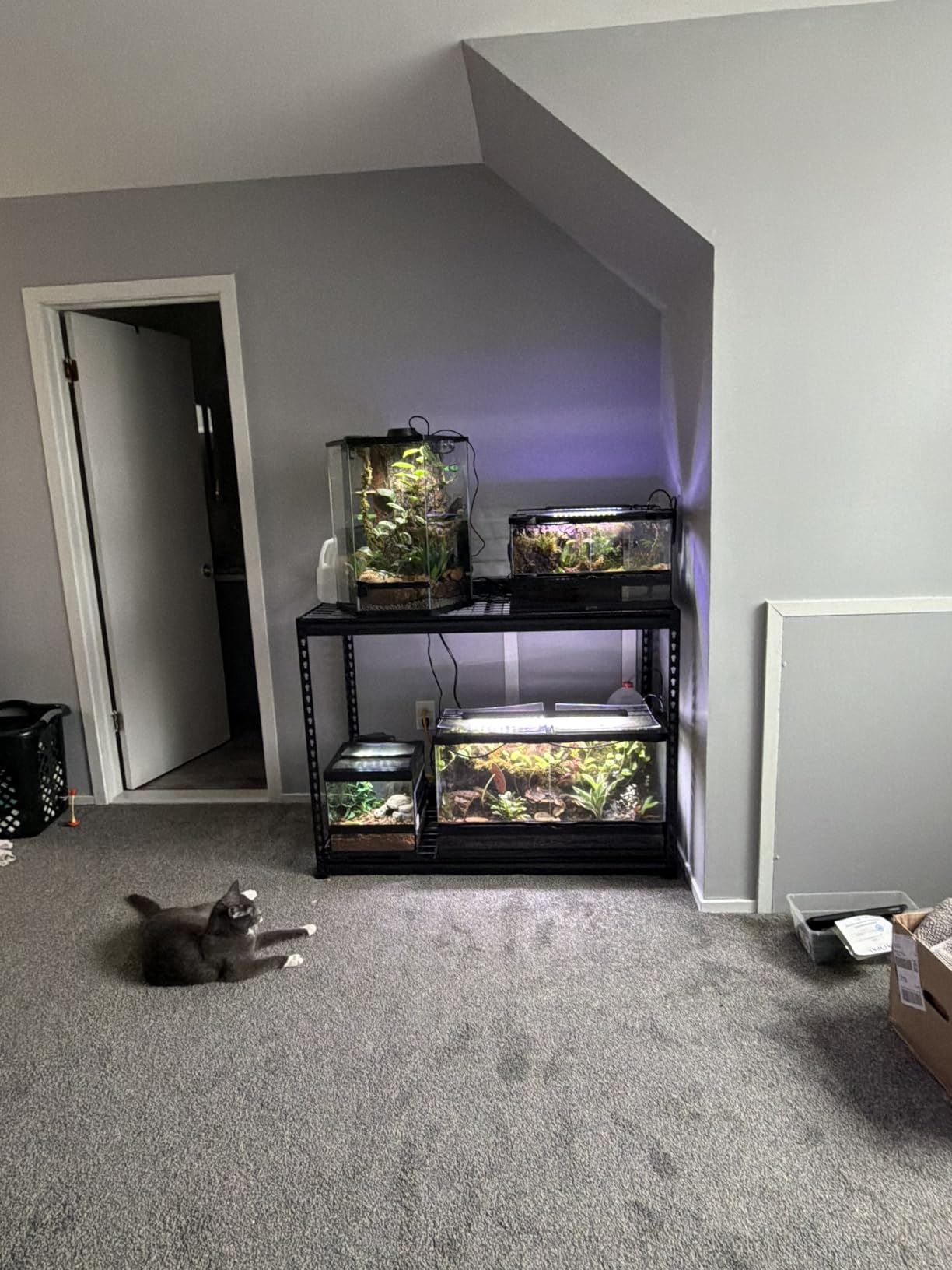 WORKPRO 5-Tier Heavy Duty Metal Shelving Unit, 72H x 48W x 24D, Adjustable Storage Rack with 4000 lbs Capacity, for Garage, Basement, Workshop, Warehouse customer photo 1