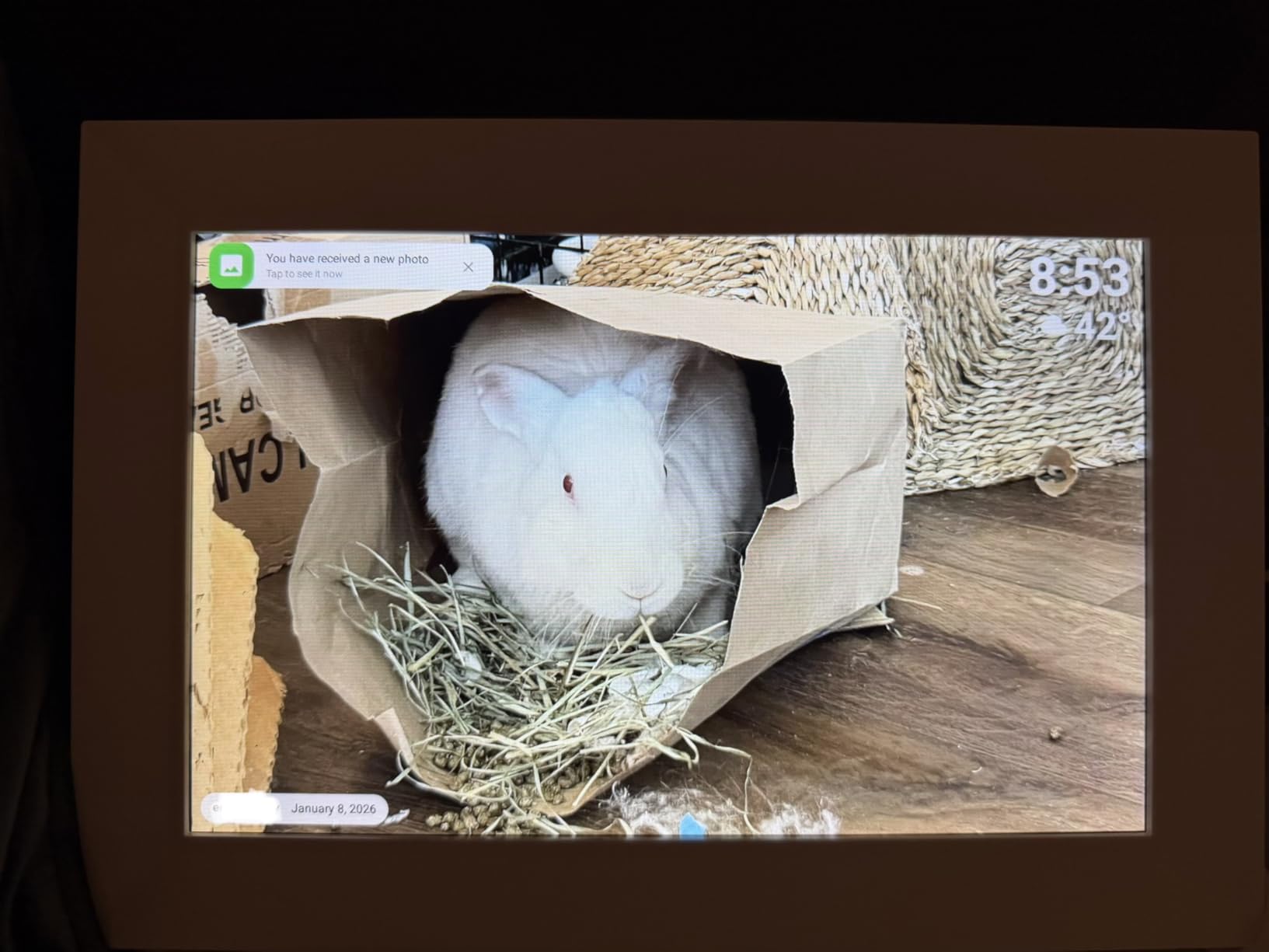 Miroir 10.1 Inch WiFi Digital Photo Frame via Frameo App, 1280x800 HD IPS Touch Screen Electric Picture Frame Display, 32GB Storage, Auto-Rotate, Wall Mountable, Share Photos/Videos Instantly customer photo 1