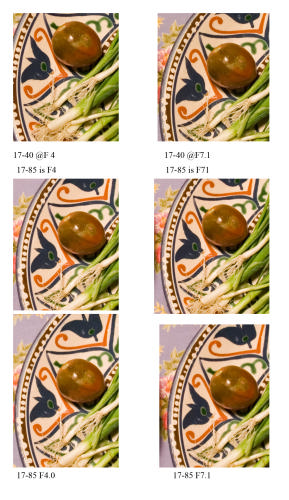 Canon EF 17-40mm f/4L USM Ultra Wide Angle Zoom Lens for SLR Cameras customer photo 1