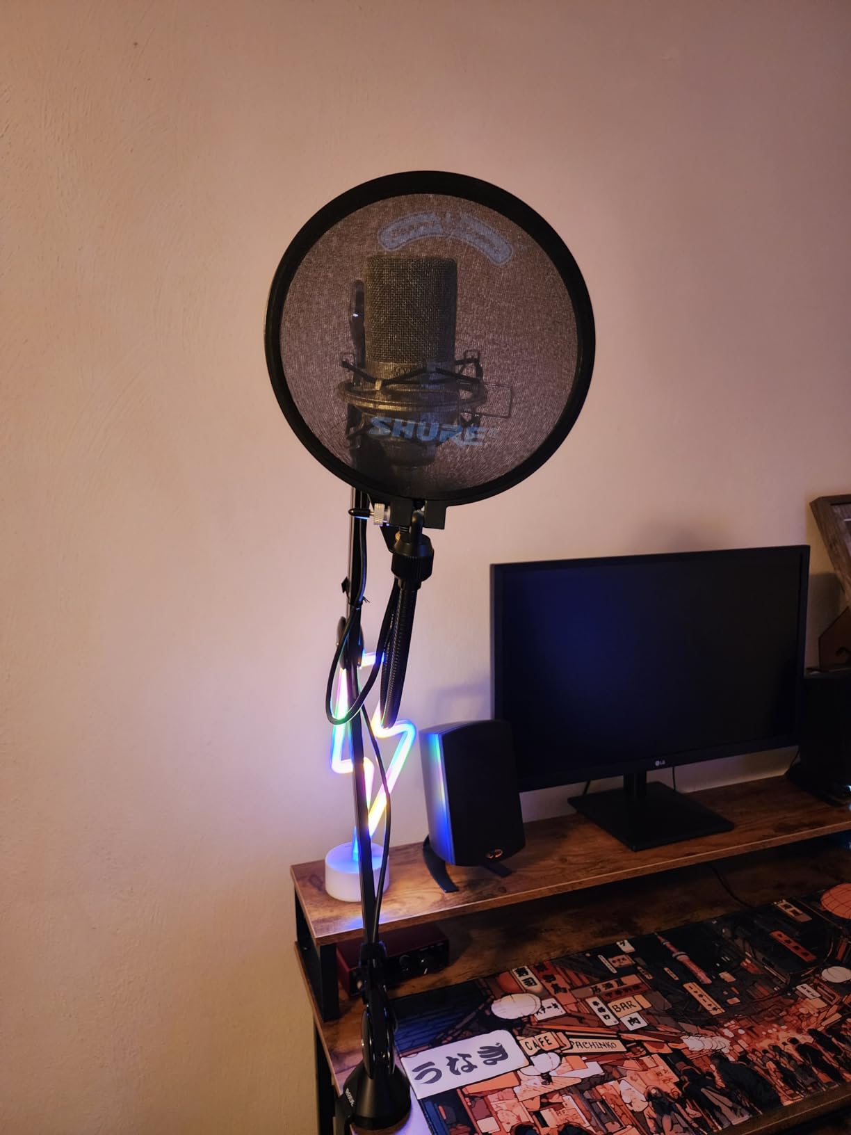 Shure Popper Stopper Pop Filter with Metal Gooseneck and Heavy Duty Microphone Stand Clamp customer photo 1