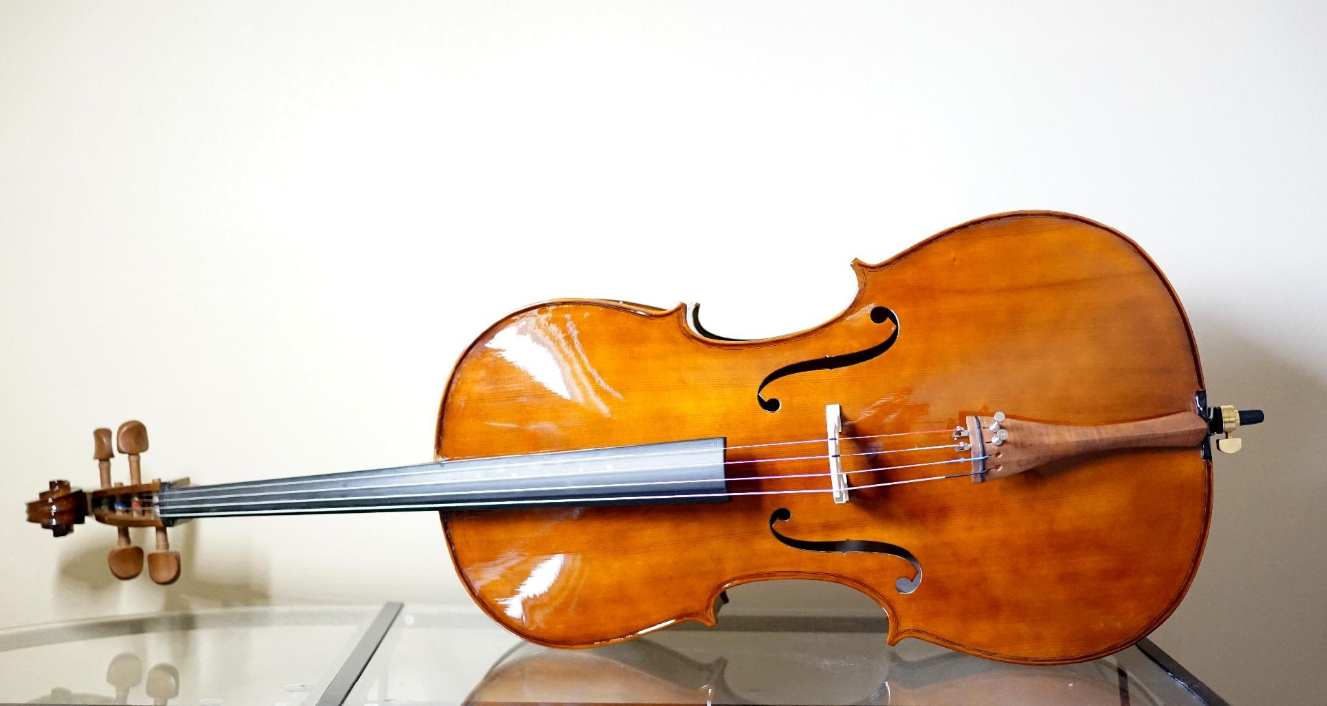 Cecilio CCO-300 Solid Wood Cello with Hard & Soft Case, Stand, Bow, Rosin, Bridge and Extra Set of Strings, Size 4/4 (Full Size) customer photo 1