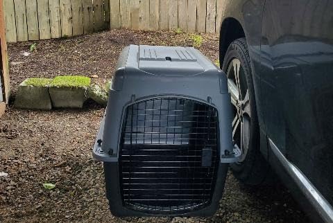 Petmate Large Breeds Dog Kennel, Various Sizes, Dark Gray/Black, Made in USA customer photo 2