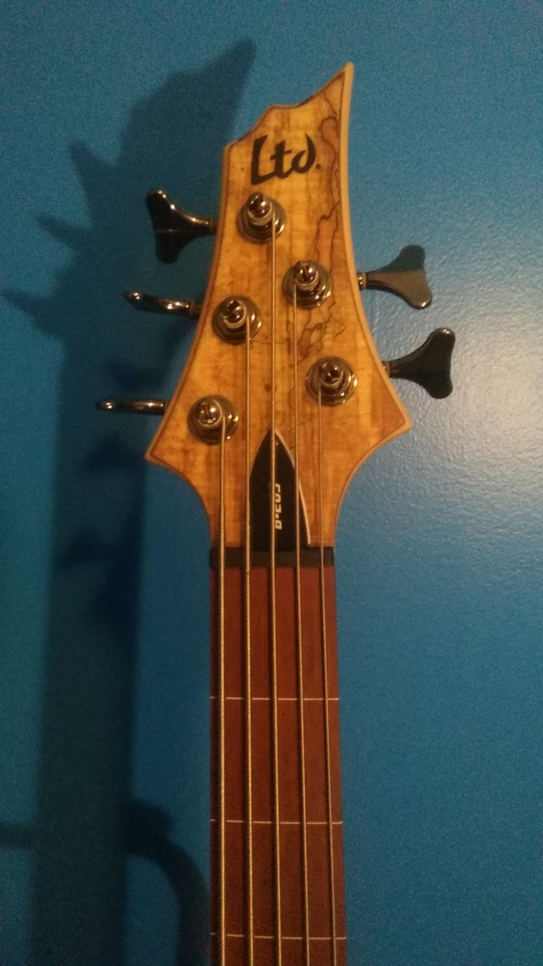 ESP LTD B-206SM Spalted Maple 6-String Bass Guitar, Natural Satin customer photo 2