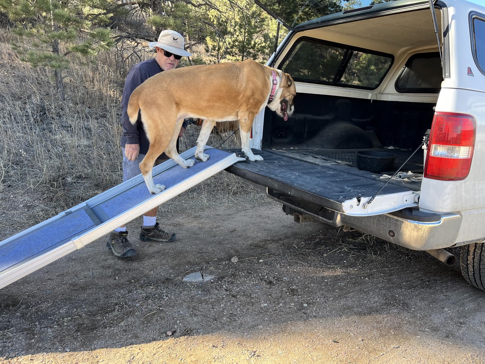 PetSafe Happy Ride Compact Telescoping Dog Ramp - Portable Pet Ramp for Cars, Trucks & SUVs with Adjustable Sizing - Non-Slip Design - Lightweight Pet Mobility Assistance customer photo 2