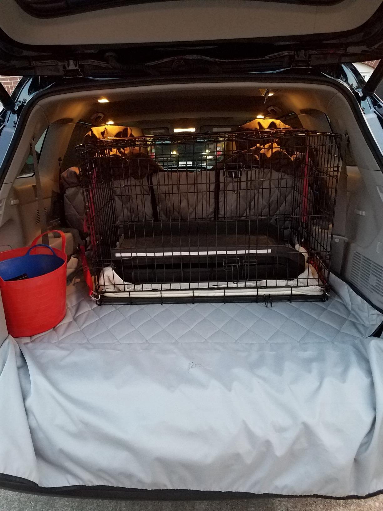 PetSafe Happy Ride Folding Dog Ramp - SUV Compatible Lightweight Pet Ramp with High Traction Walking Surface - Joint Strain Protection - Secure Foldable Design for Compact Storage customer photo 2