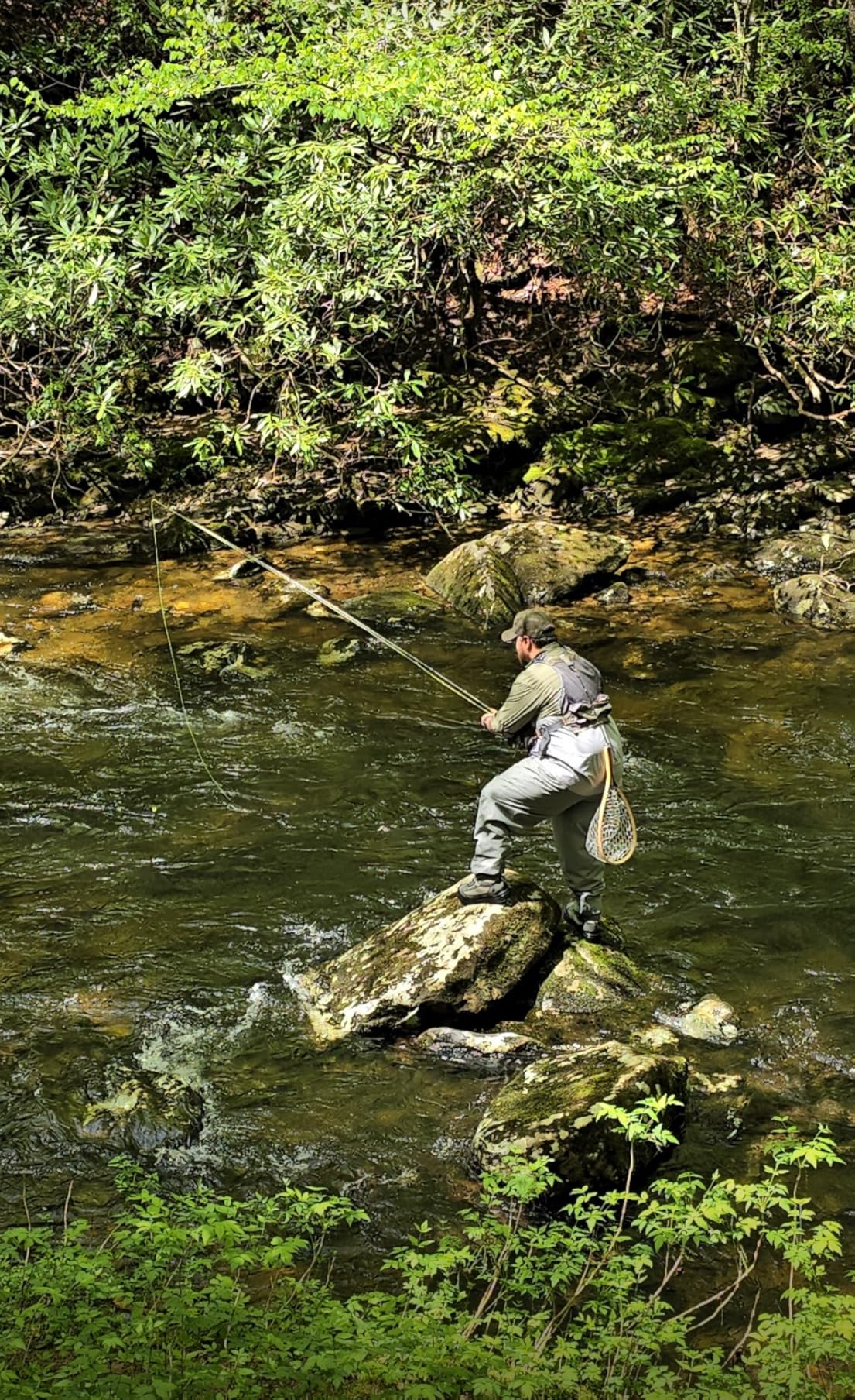 Wild Water Standard Fly Fishing Combo Starter Kit, 5 or 6 Weight 9 Foot Fly Rod, 4-Piece Graphite Rod with Cork Handle, Accessories, Die Cast Aluminum Reel, Carrying Case, Fly Box Case & Fishing Flies customer photo 1