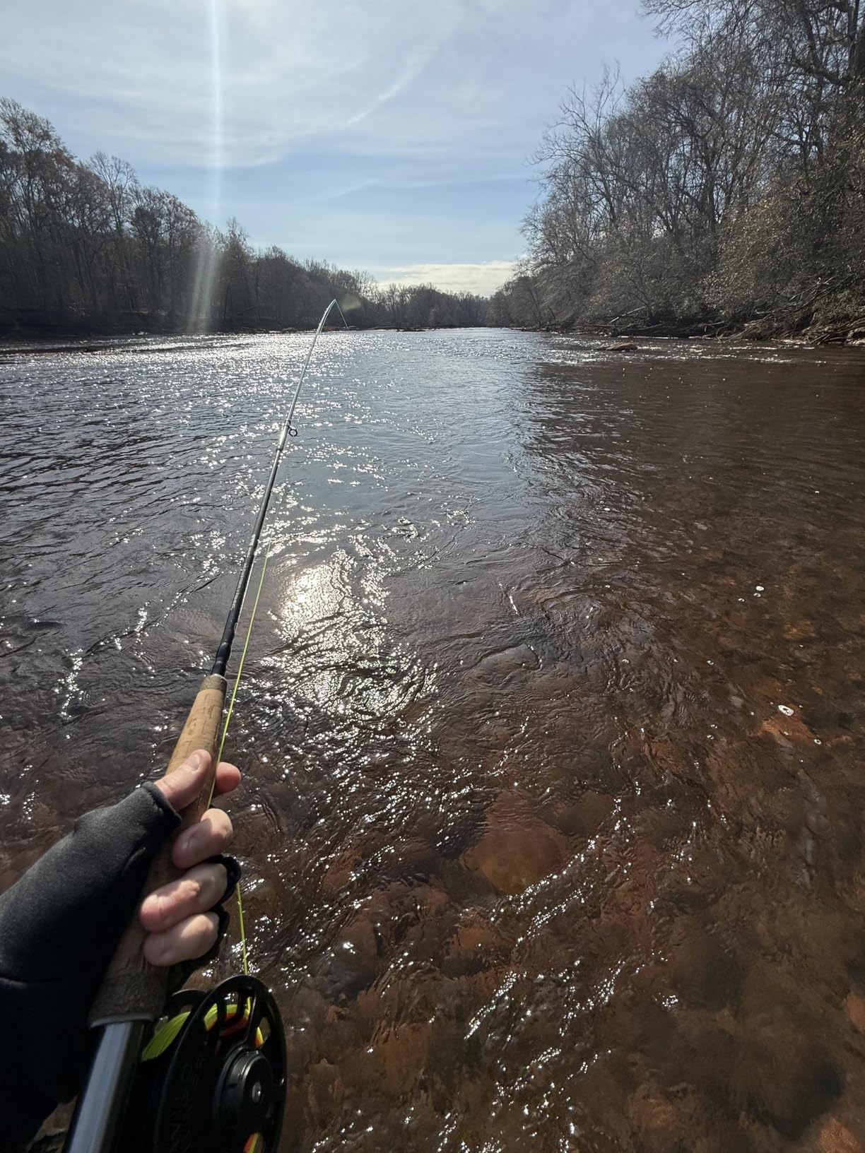 Wild Water Standard Fly Fishing Combo Starter Kit, 5 or 6 Weight 9 Foot Fly Rod, 4-Piece Graphite Rod with Cork Handle, Accessories, Die Cast Aluminum Reel, Carrying Case, Fly Box Case & Fishing Flies customer photo 2