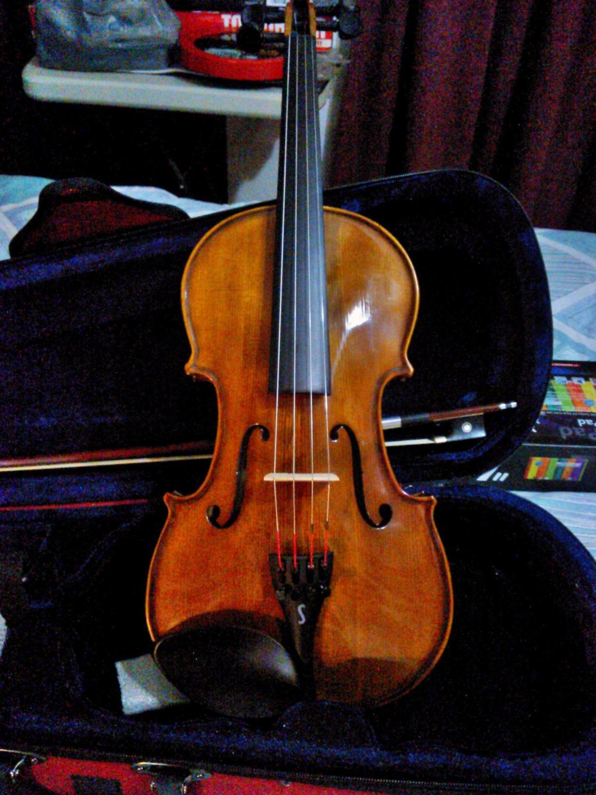 Stentor 1500 4/4 Violin - Professional Grade Student Outfit customer photo 1