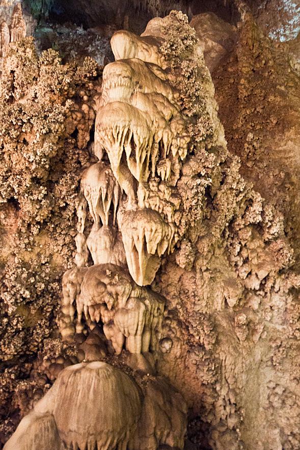 Nikon 10-24mm f/3.5-4.5G ED AF-S DX Nikkor Wide-Angle Zoom Lens for Nikon Digital SLR Cameras customer photo 1