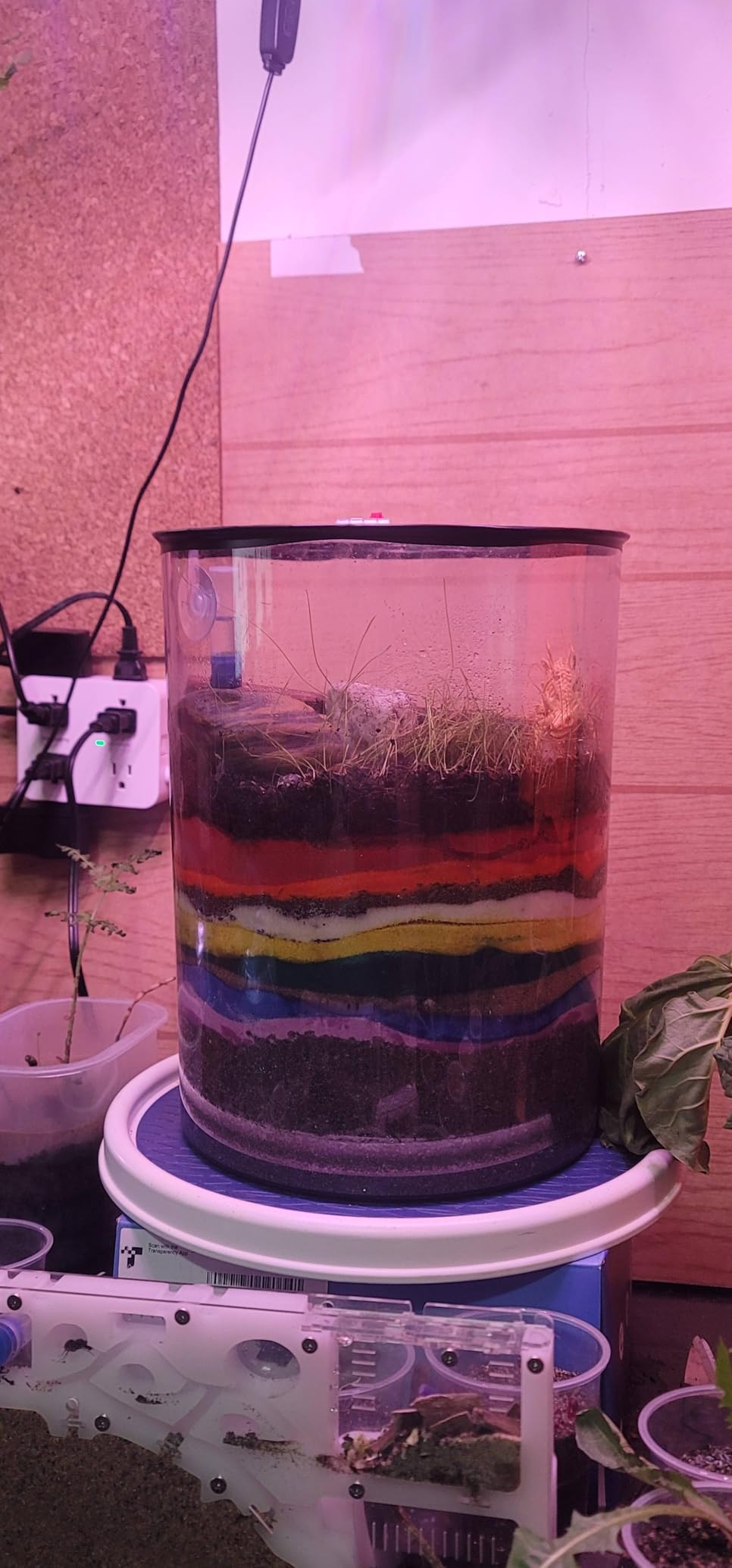 Copco Basics Non-Skid Pantry Cabinet Lazy Susan Turntable, 12-Inch, White/Gray, 1 Count (Pack of 1) customer photo 2