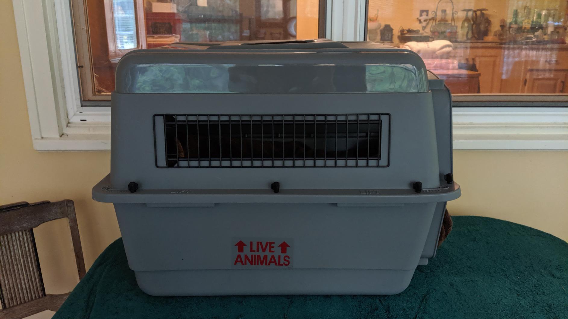 Petmate Sky Kennel - For Air and Travel, Airline Compliant Dog Crate for Pets up 70-90 lbs, Heavy Duty Dog Kennel, Made in the USA - 40 Inches customer photo 2