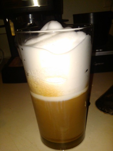 Capresso 202.04 froth PRO Automatic Milk Frother and Hot Chocolate Maker customer photo 1