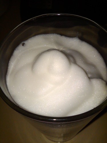 Capresso 202.04 froth PRO Automatic Milk Frother and Hot Chocolate Maker customer photo 2