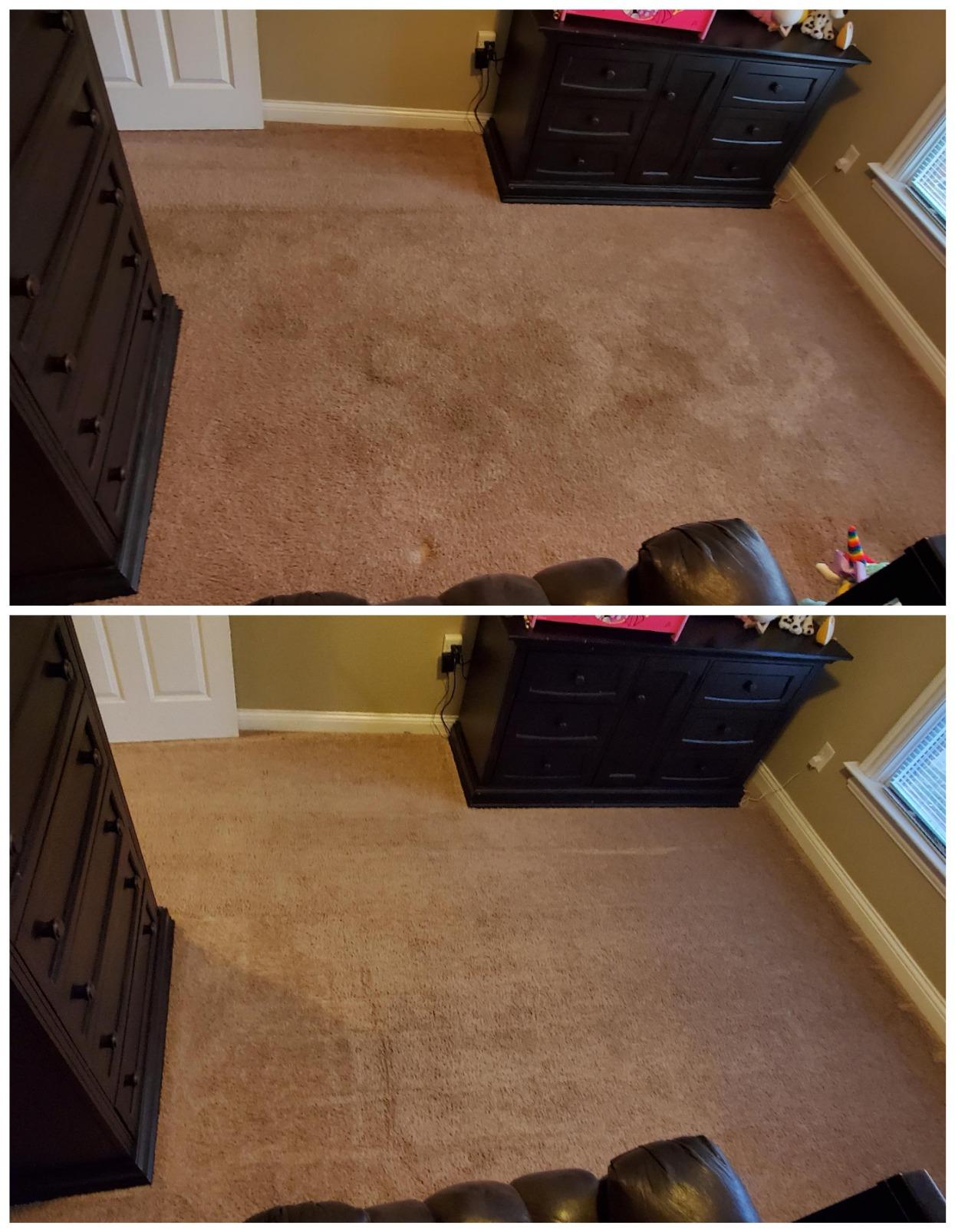 BISSELL Big Green Professional Carpet Cleaner with XL DirtLifter PowerBrush, 9-inch Long Reach Hose, 6-inch Tough Stain Tool, Includes BISSELL PRO MAX Formula with Stain Protect Technology customer photo 1