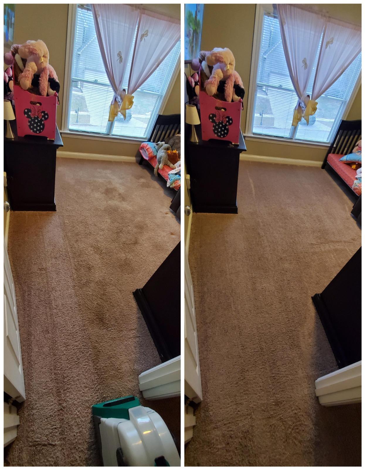 BISSELL Big Green Professional Carpet Cleaner with XL DirtLifter PowerBrush, 9-inch Long Reach Hose, 6-inch Tough Stain Tool, Includes BISSELL PRO MAX Formula with Stain Protect Technology customer photo 2