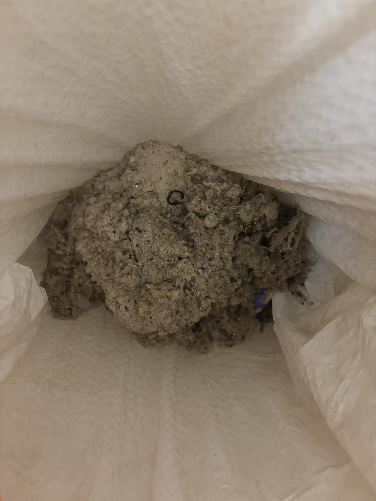 Shark NV352 Navigator Lift Away Upright Vacuum, Hepa Filter, Anti-Allergen Technology, Swivel Steering, Lavender customer photo 2