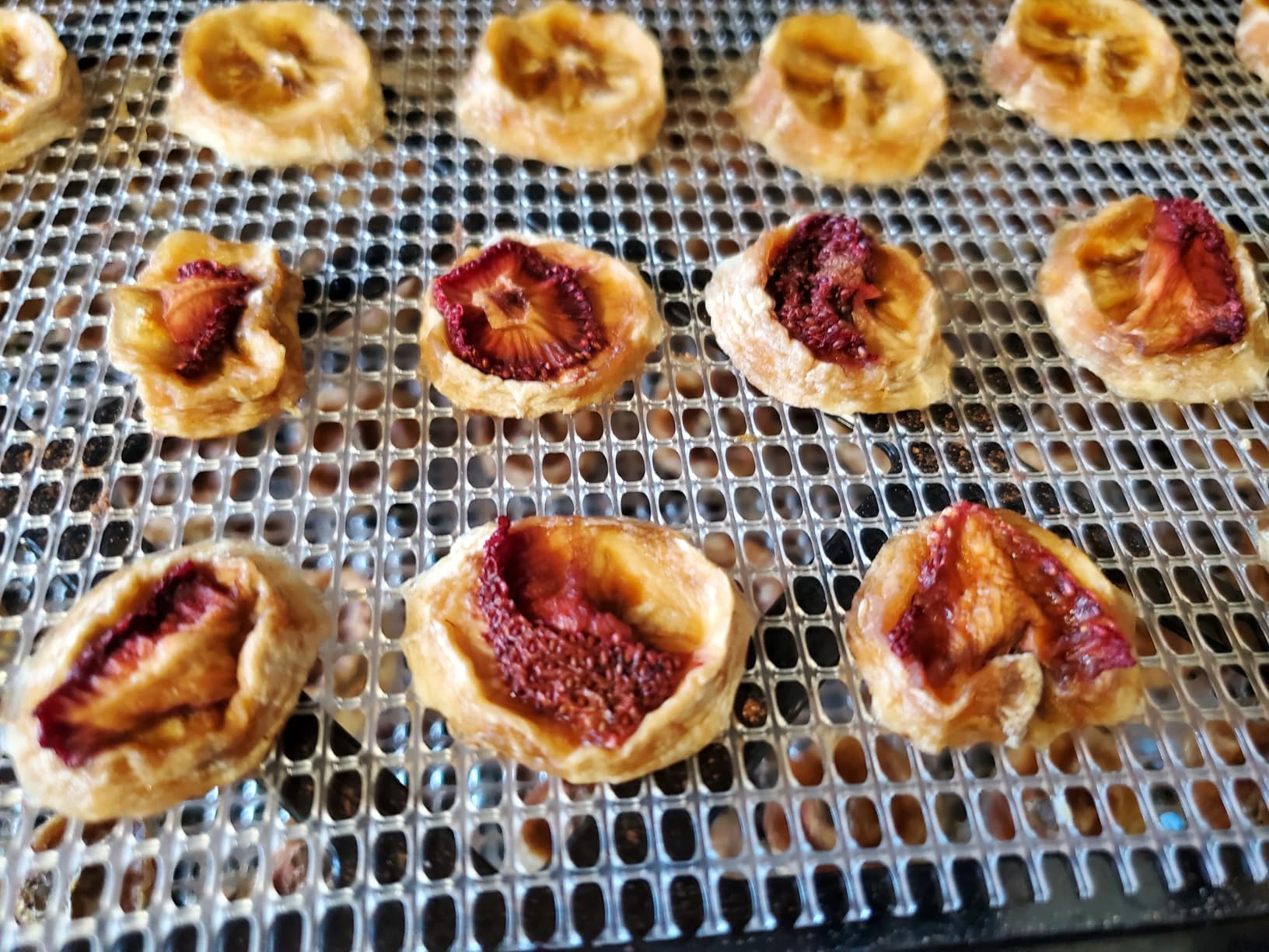 Excalibur Electric Food Dehydrator Machine 9-Tray with Adjustable Thermostat, Accurate Temperature Control and Fast Drying with 15 Square Feet of Drying Space, 600-Watts, Black customer photo 1