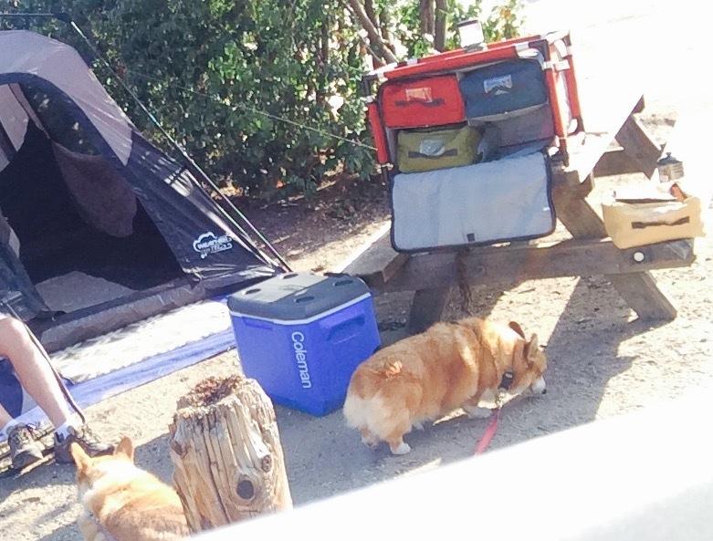 Camp Chef Sherpa Camp Table & Organizer, Table top 27