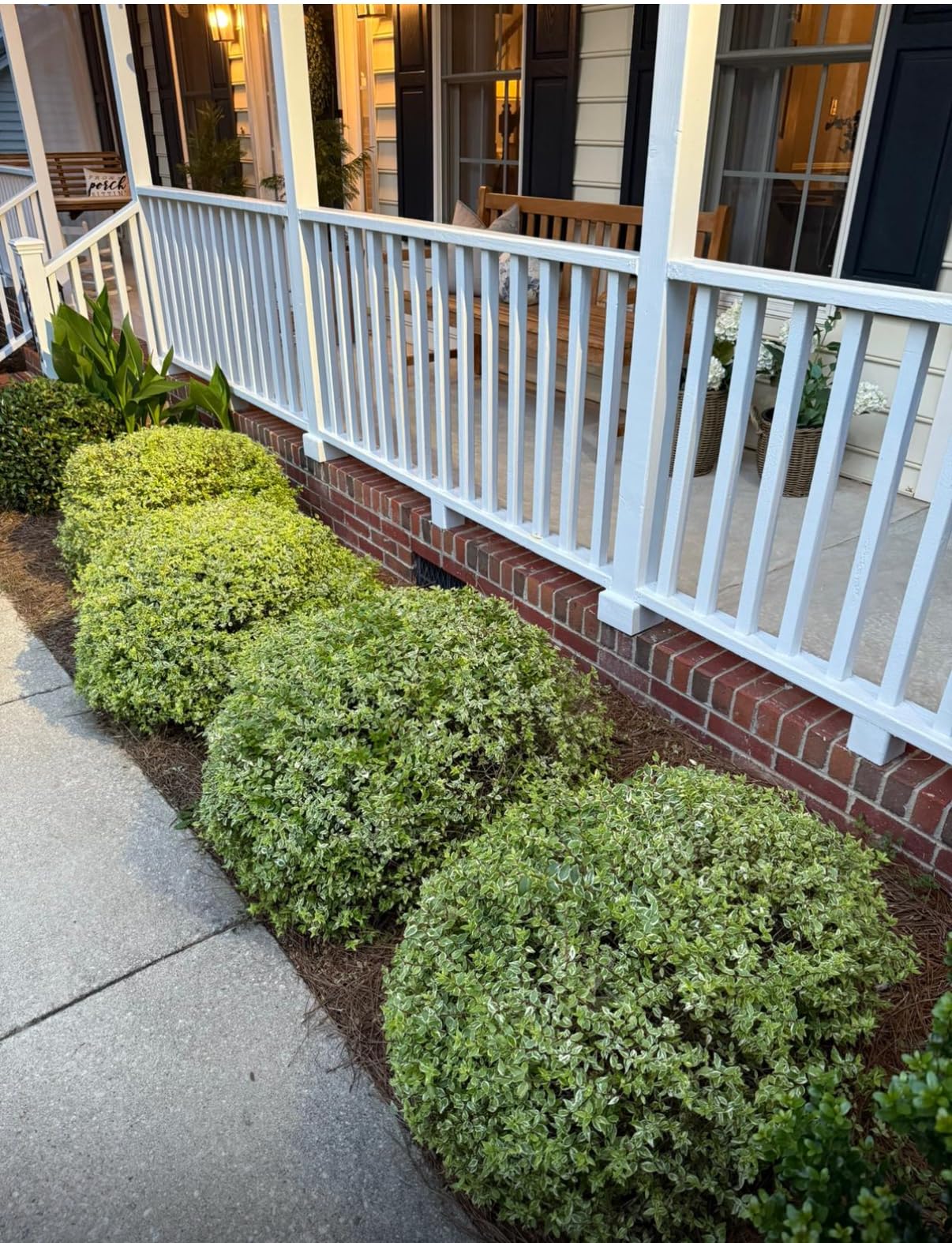 BLACK+DECKER 20V MAX Cordless Hedge Trimmer, Battery and Charger Included, 22 Inch Steel Blade Lightweight Bush Trimmer, Soft Grip, Less Vibration (LHT2220) customer photo 2