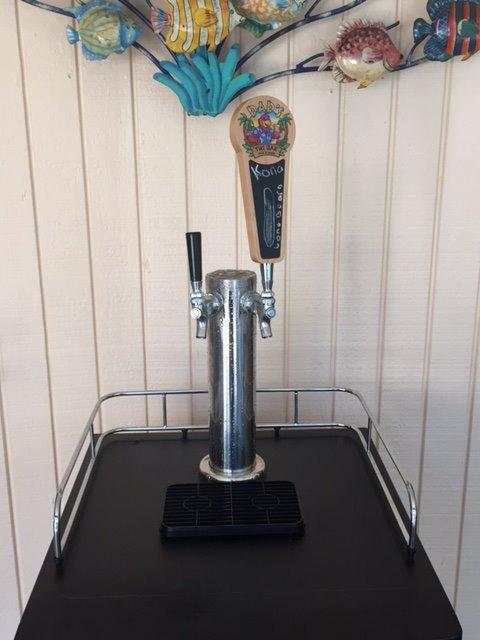 EdgeStar KC2000SSTWIN Full Size Stainless Steel Dual Tap Kegerator & Draft Beer Dispenser customer photo 1