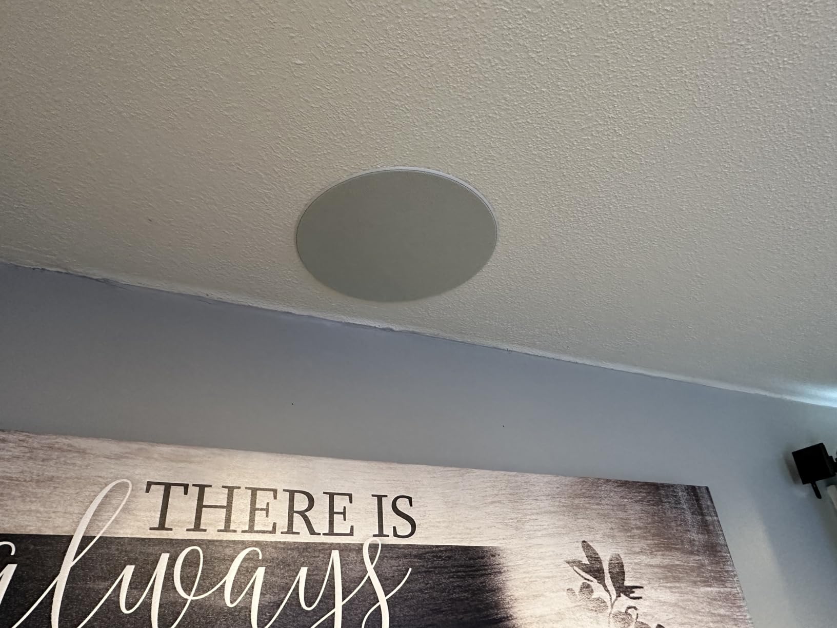 CDT-5650-C II In-Ceiling Speaker - White (Each) customer photo 2