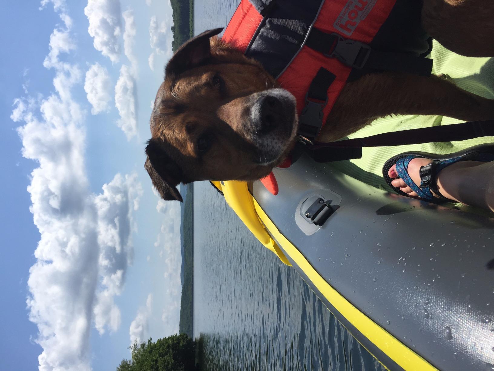 Intex 68307EP Explorer K2 Inflatable Kayak Set: Includes Deluxe 86in Aluminum Oars and High-Output Pump - SuperStrong PVC - Adjustable Seats with Backrest - 2-Person - 400lb Weight Capacity customer photo 1