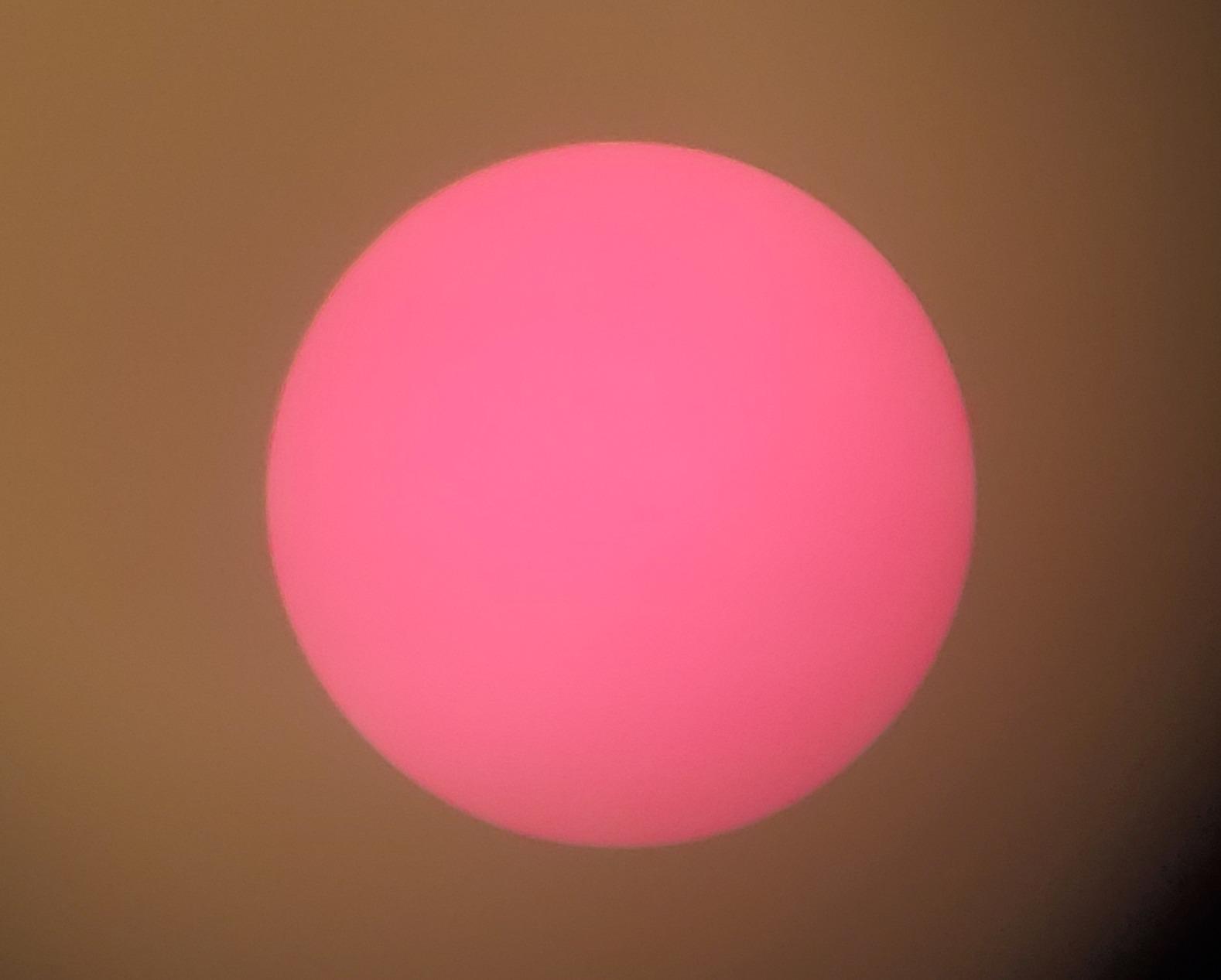 Celestron Regal M2 80ED Spotting Scope customer photo 1