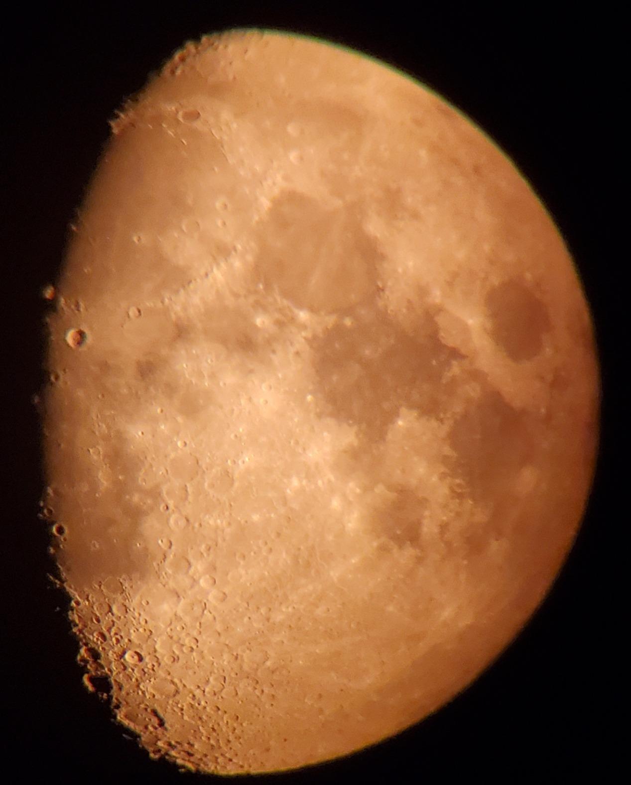 Celestron Regal M2 80ED Spotting Scope customer photo 2