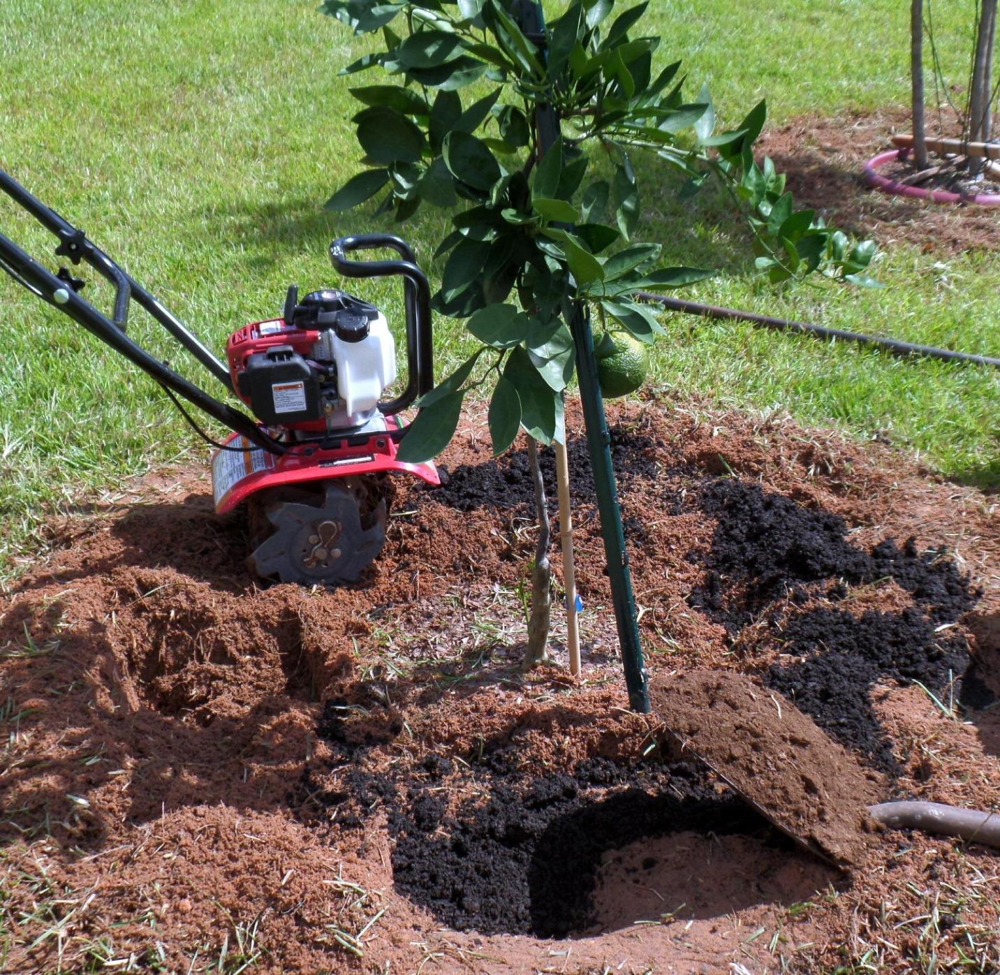 Honda FG110 Mini Tiller Cultivator, 6- to 9-Inch Tilling Width, Break New Ground or Prep Soil, Gas Engine, Adjustable Depth Bar (FG110KiAT) customer photo 1