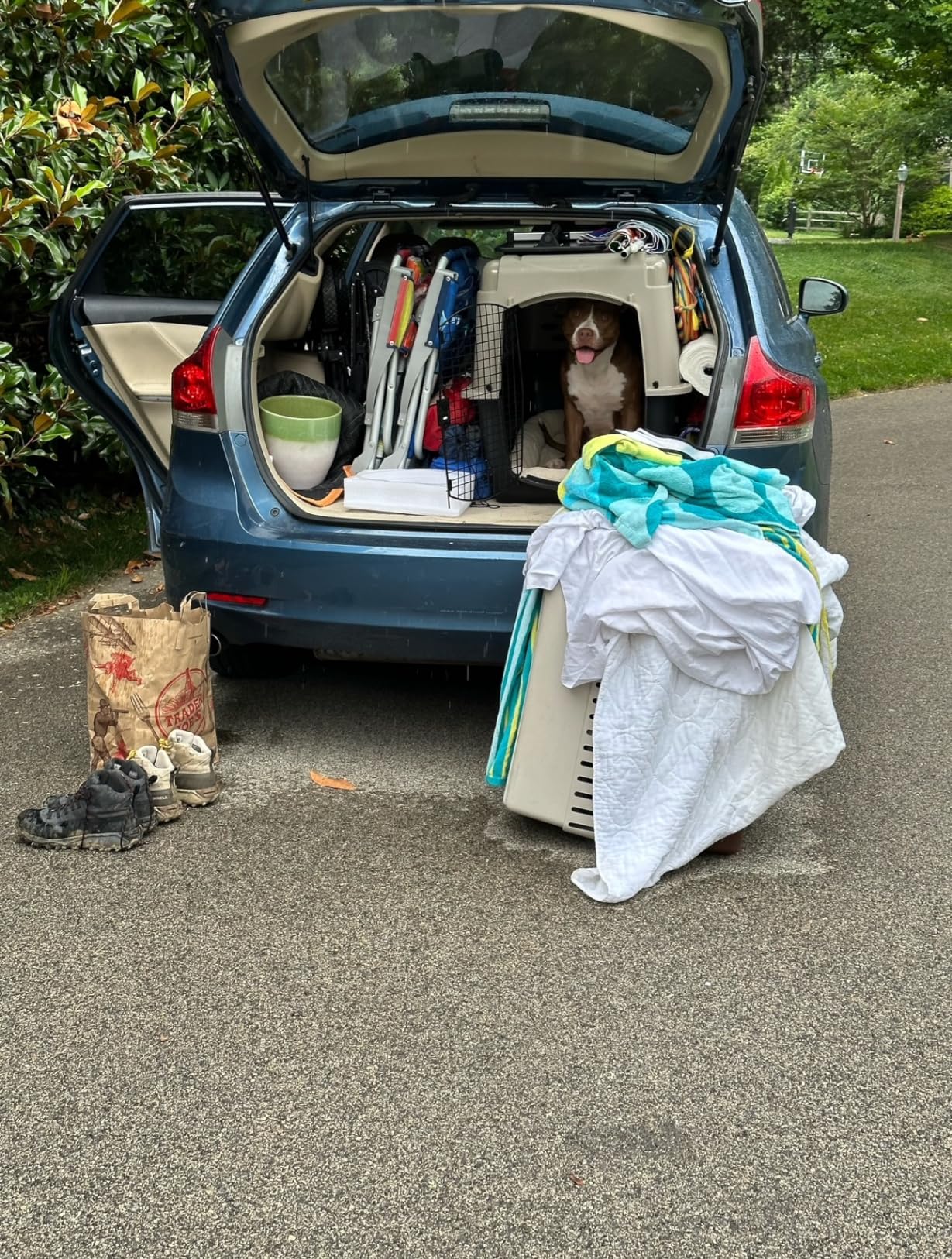 Petmate Vari Dog Kennel - Portable Dog Carriers & Crates for Large Dogs, Airline-Friendly, Durable Plastic, Pet Carrier For Home and Travel, 36 Inches customer photo 1