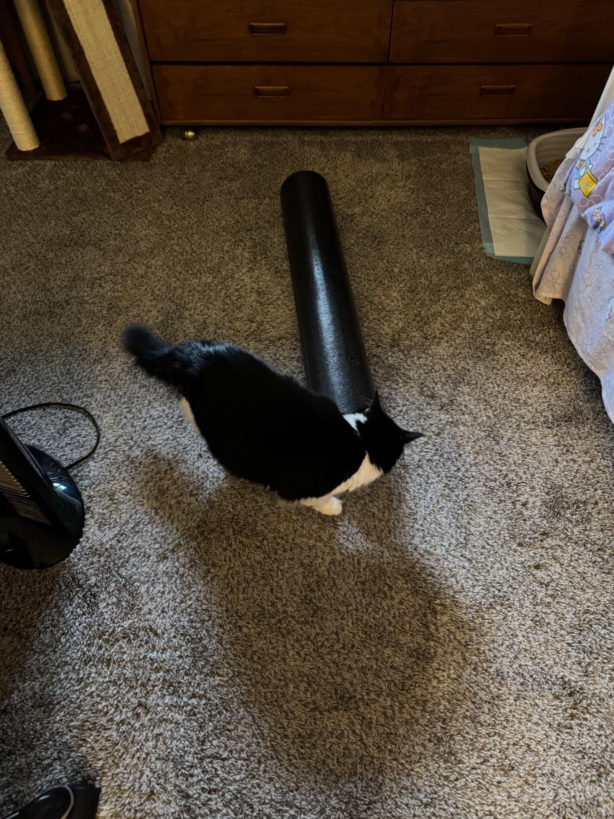 ProsourceFit High Density Foam Rollers Long, Firm Full Body Athletic Massage Tool customer photo 1