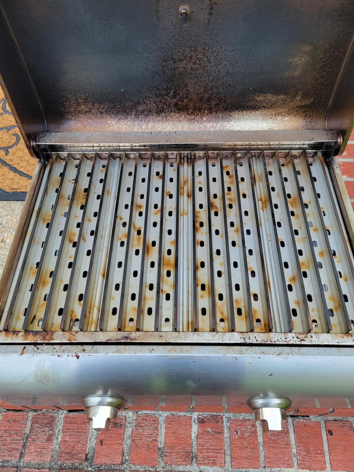 Cuisinart Chef's Style Tabletop Portable Propane Grill, 20,000 BTU Stainless Steel 2-Burner Outdoor Gas Grill for Camping, Tailgates, BBQ, Hassle-Free Setup, Twist-Start Ignition, CGG-306 customer photo 1