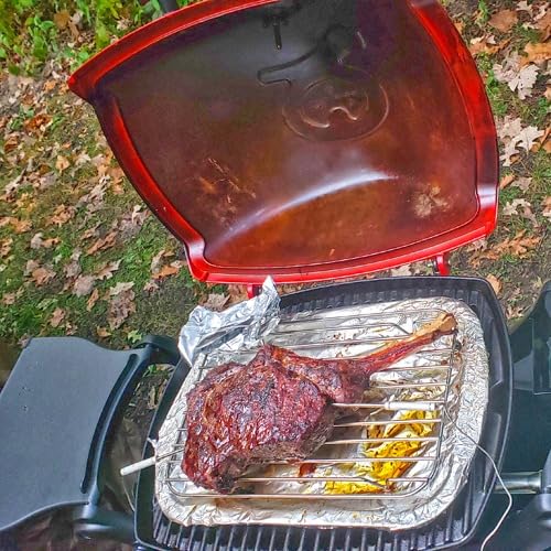 Weber Q1200 Liquid Propane Portable Gas Grill, Titanium - 1-Burner Travel and Camping Grill with Cast-Iron Grates & Electronic Ignition (8,500 BTU Burner) customer photo 1