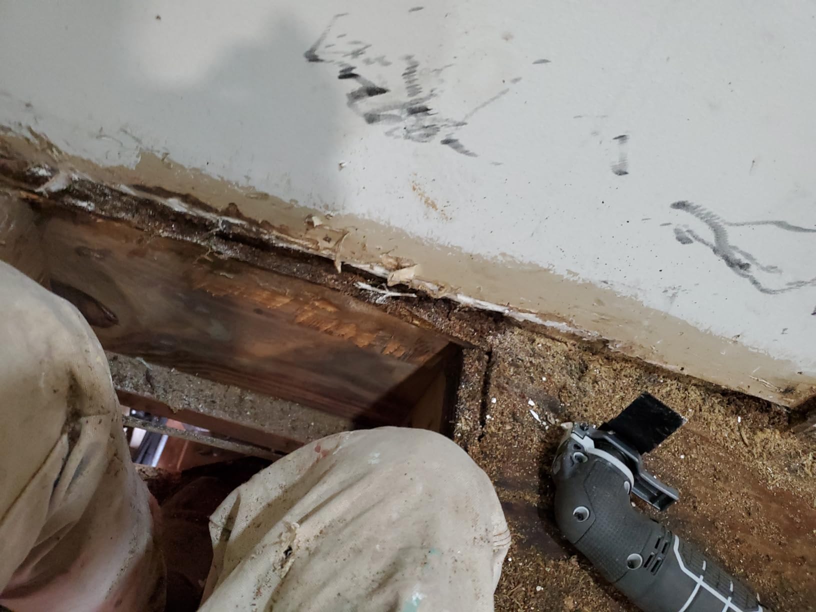 PORTER-CABLE 20V MAX* Oscillating Tool with 11-Piece Accessories, Tool Only (PCC710B) customer photo 2