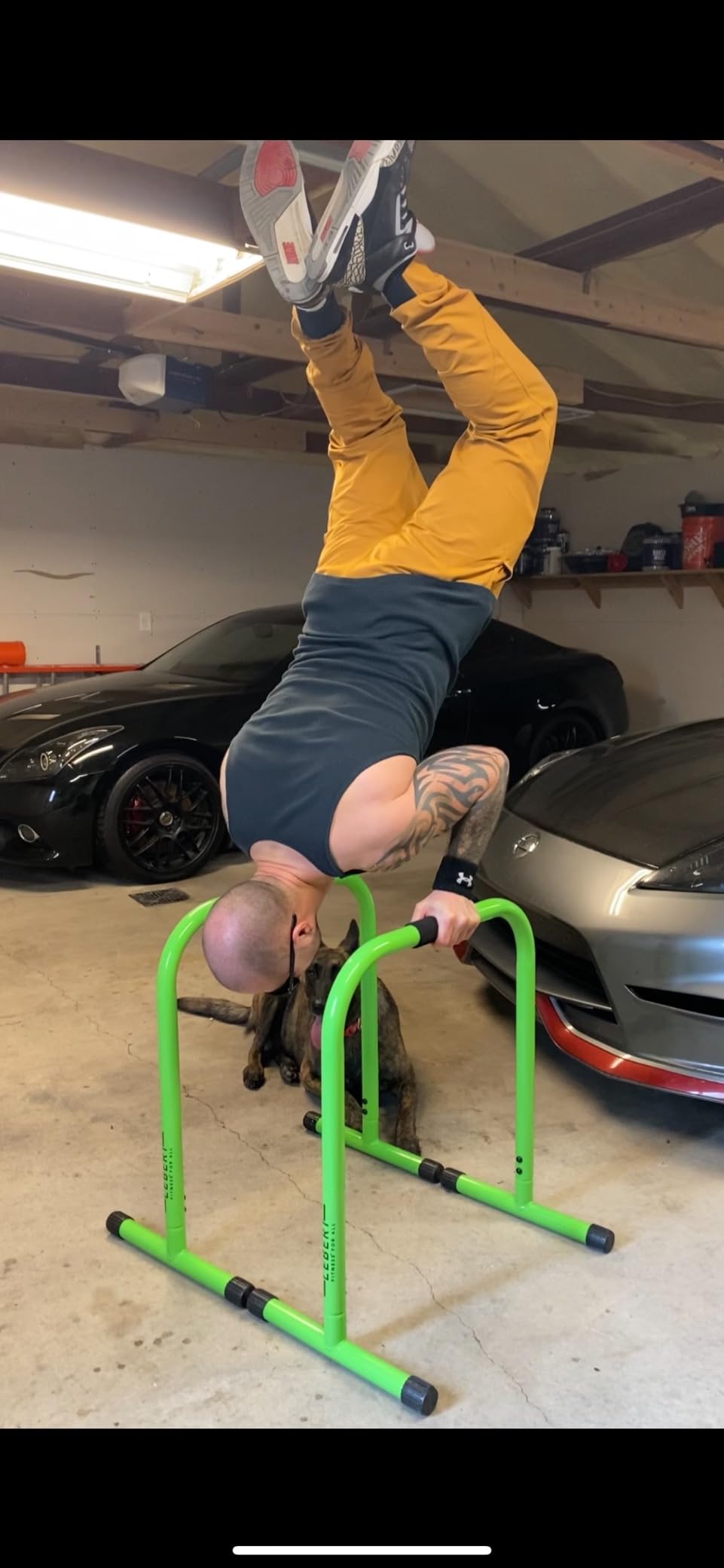 Lebert EQualizer Total Body Strengthener - Portable Dip Station for Full Bodyweight Training - Includes Hip Resistance Band & Online Coaching - Available in Standard & XL Sizes customer photo 1