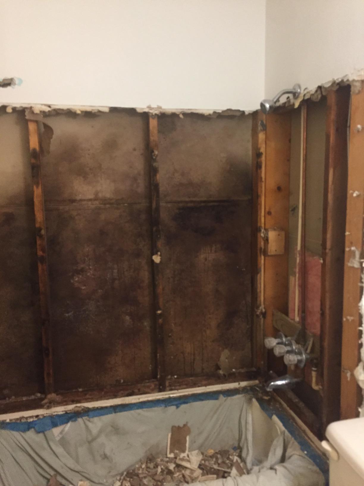 OdorStop OS2500UV Professional Grade Ozone Generator Ionizer for Areas of 2500 Square Feet+, For Deodorizing and Purifying Medium Size Areas Such as Hotel Rooms, Offices, and Basements customer photo 2