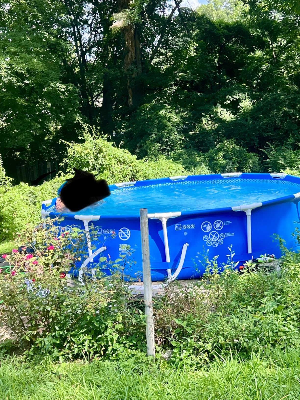 INTEX Metal Frame 12 ft x 30 in Above Ground Pool Set, Round Swimming Pool with Steel Frame, 530 GPH Cartridge Filter Pump, and Type A Filter Cartridge customer photo 1