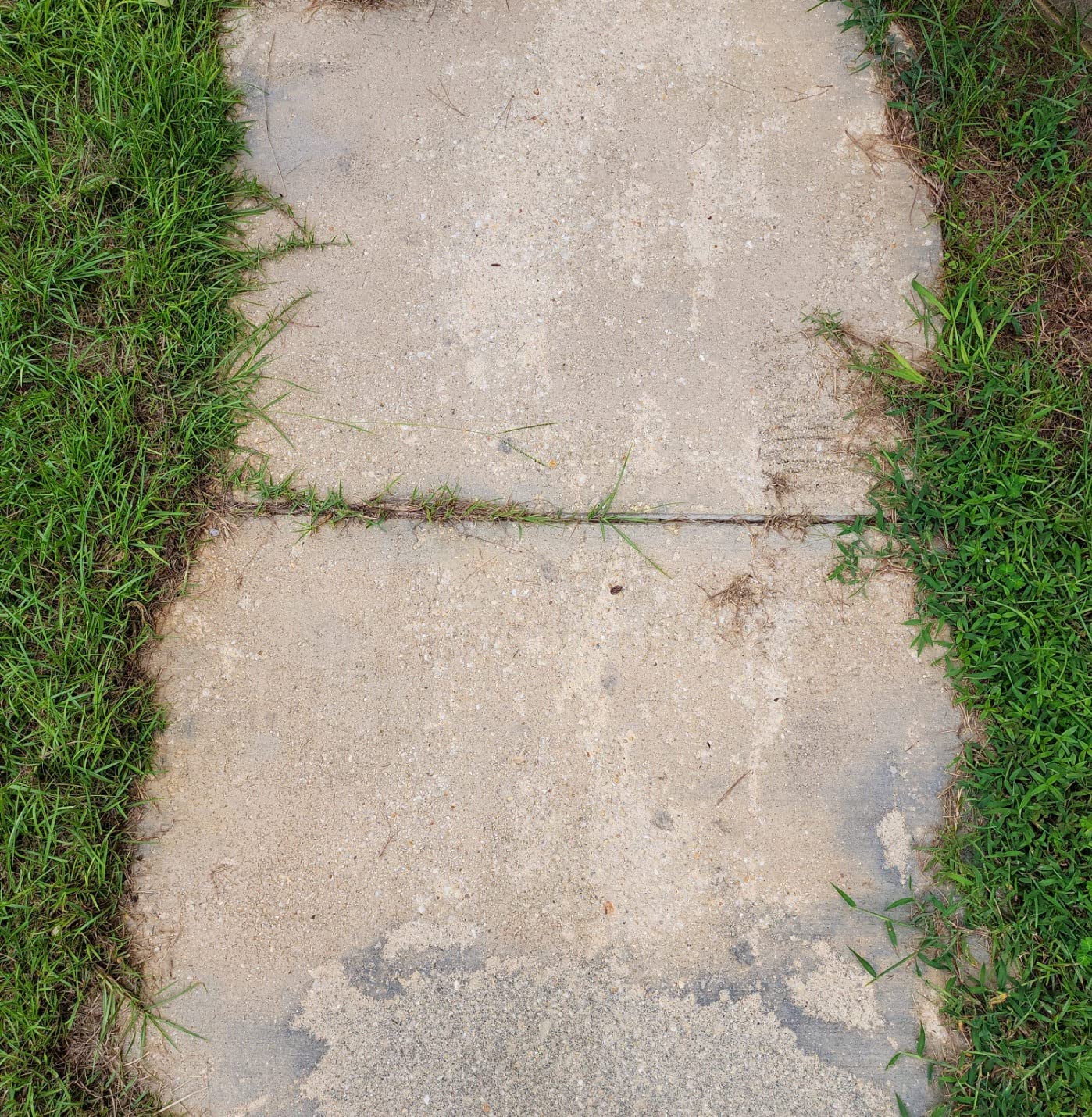 WORX 12 Amp 7.5'' Electric Lawn Edger & Trencher, Corded, WG896 customer photo 2