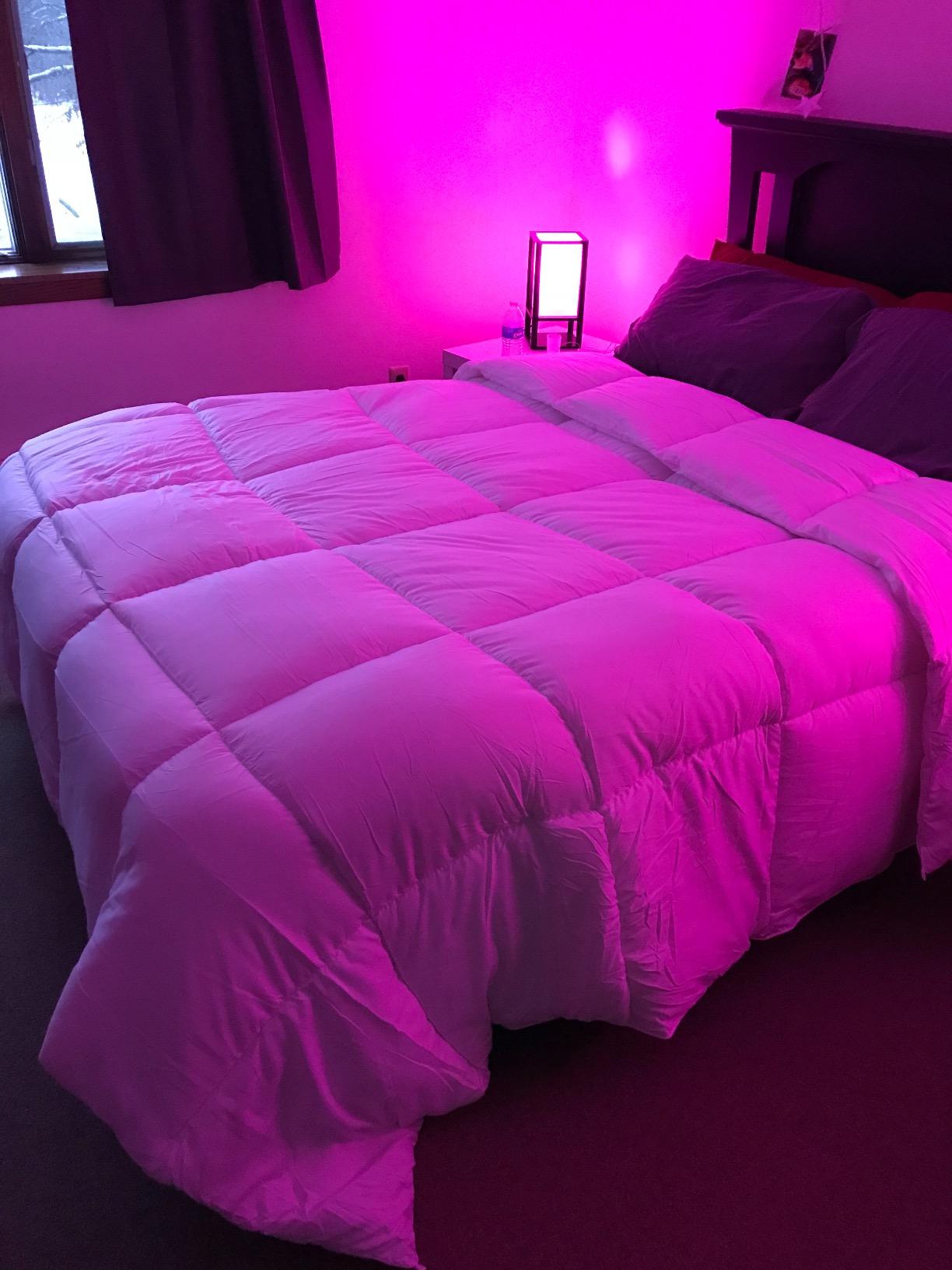 Utopia Bedding Comforter Duvet Insert, Quilted Comforter with Corner Tabs, Box Stitched Down Alternative Comforters Queen Size (White) customer photo 2