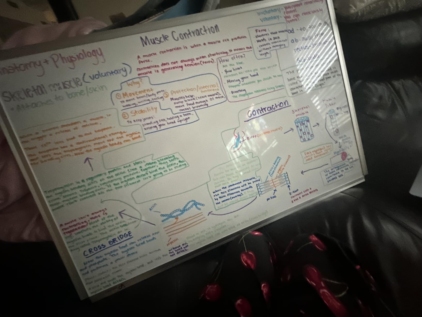 VIZ-PRO Magnetic Dry Erase Board, 36 X 24 Inches, Silver Aluminium Frame customer photo 1