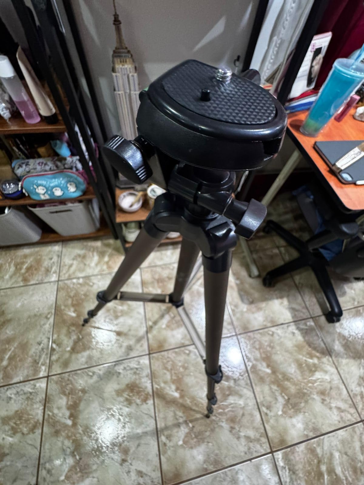 Amazon Basics 50-inch Lightweight Portable Camera Tripod Stand with Quick-Release Plate, Adjustable Height, Aluminum, for Travel Photography, Champagne customer photo 1