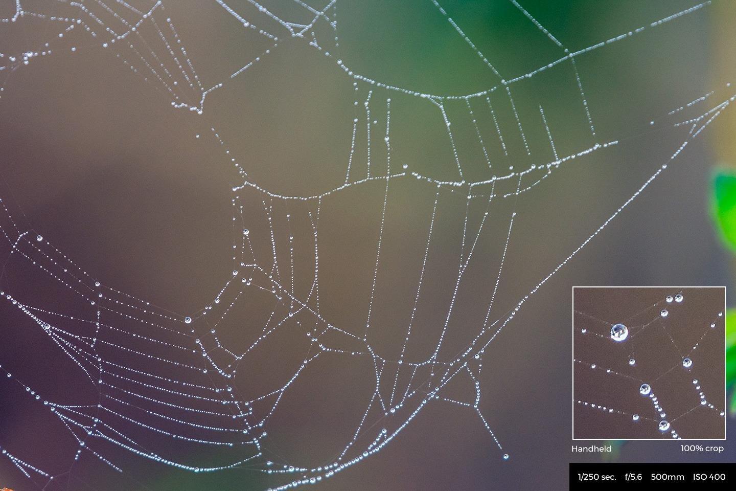 Nikon AF-S FX NIKKOR 200-500mm f/5.6E ED Vibration Reduction Zoom Lens with Auto Focus for Nikon DSLR Cameras customer photo 2