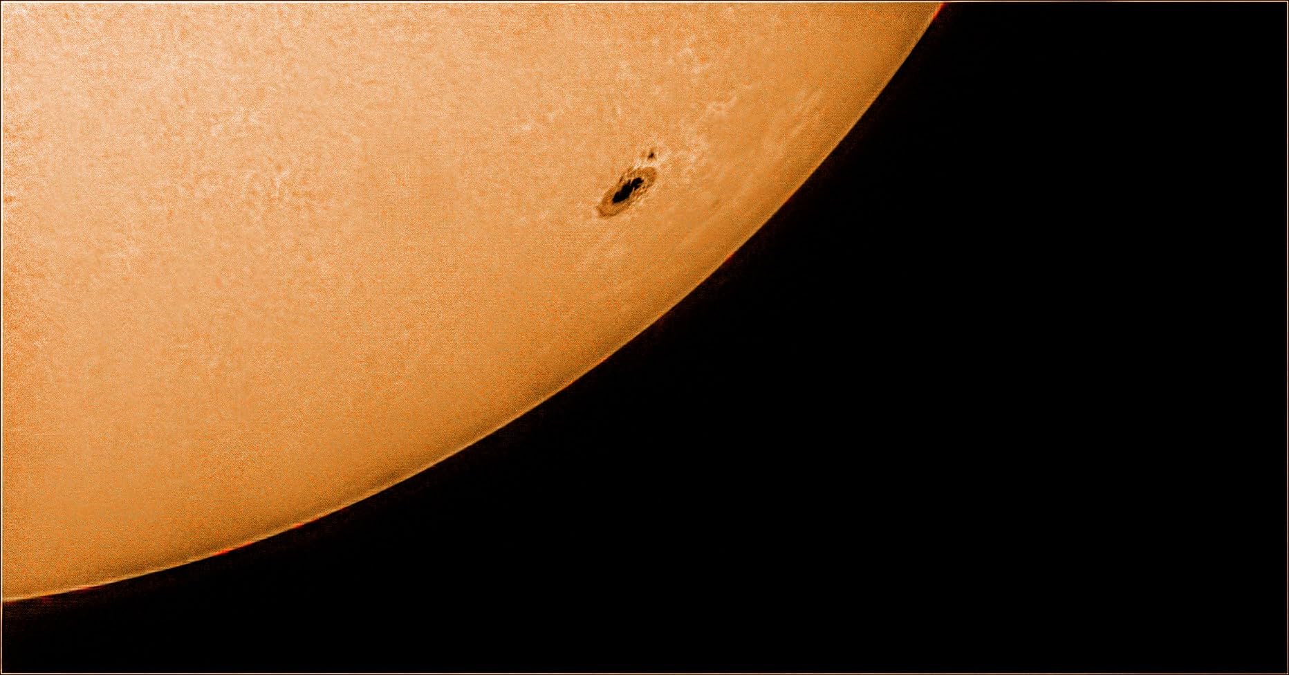 Thousand Oaks Optical 6