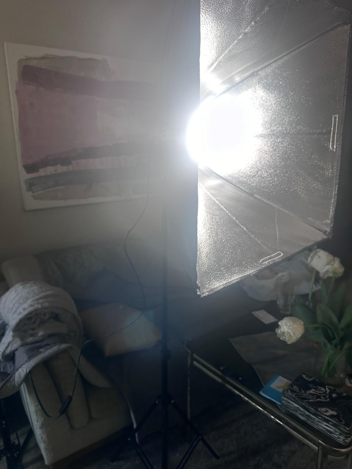 NEEWER 700W Equivalent Softbox Lighting Kit, 2Pack UL Certified 5700K LED Lighting Bulbs, 24x24 inches Softboxes with E26 Socket, Photography Continuous Lighting Kit Photo Studio Equipment customer photo 1