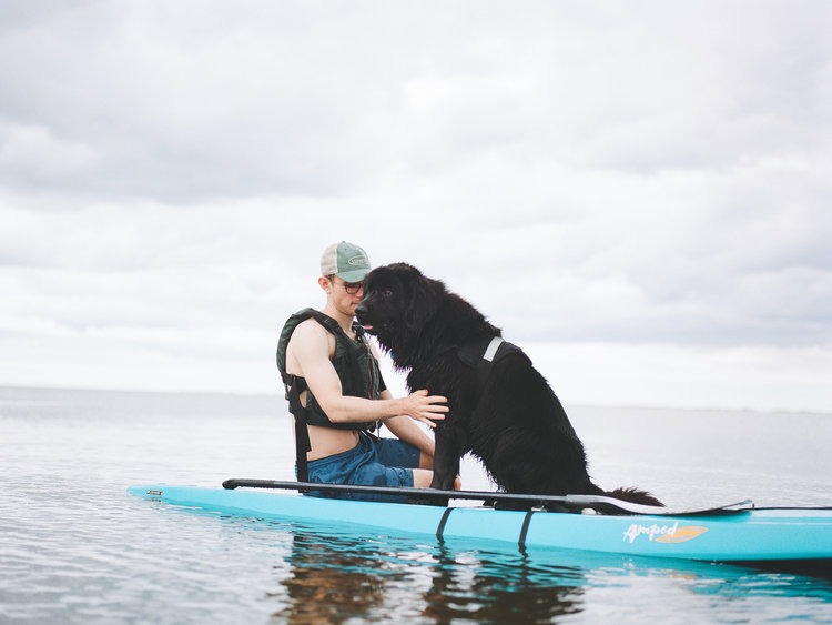 Lifetime Amped Hardshell Paddleboard with Paddle, 11', Glacier Blue customer photo 1